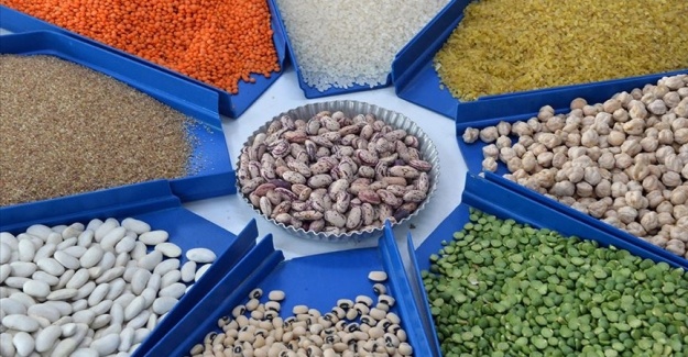 Hububat, bakliyat ve yağlı tohumlarda yıllık ihracat 8 milyar doları aştı
