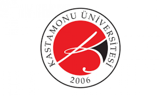 Kastamonu Üniversitesi 5 Araştırma Görevlisi alıyor