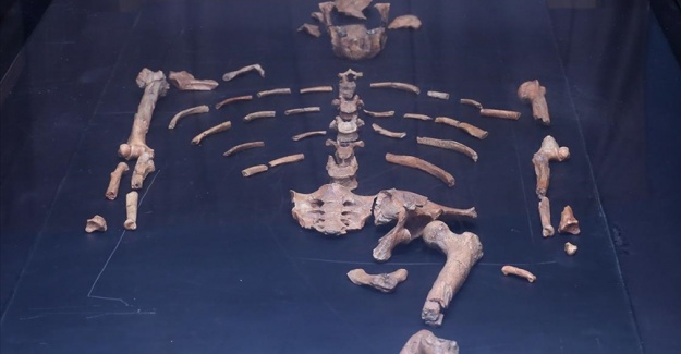 Modern insana ait en eski fosilin bilinenden 33 bin yıl daha eski olduğu belirlendi