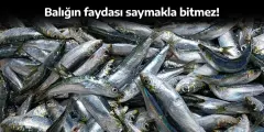 Balık Deyip Geçmeyin! İşte Balığın 10 Faydası - Yenigün Gazetesi