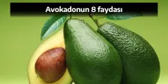 Avokado Deyip Geçmeyin! Avokadonun Sağlık Üzerindeki Mucizevi 8 Etkisi - Yenigün Gazetesi